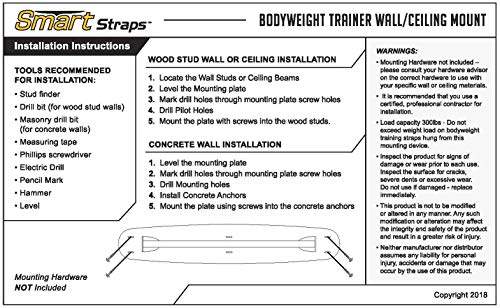 Prism Fitness Smart Straps Ceiling Mount Wall Mount Anchor For