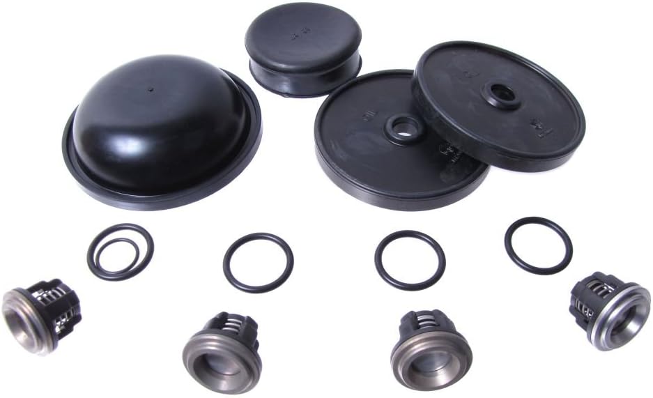 Hypro Repair Kit for D30 Diaphragm Pump D30REPAIRKIT