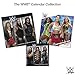 2020 Women of WWE Wrestling Wall Calendar (DDW0752820)