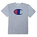 Champion Mens Shirt Big and Tall Mens T Shirts Active Crewneck T Shirt
