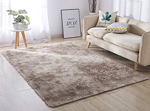 image for ACTCUT Super Soft Indoor Modern Shag Area Silky Smooth Rugs Fluffy Ant