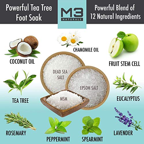 M3 Naturals Tea Tree Oil Foot Soak Infused with Stem Cell - Epsom Salt Foot Spa for Athletes Foot, Toenail Fungus, Callus Remover, Stubborn Foot Odor - Essential Pedicure Foot Bath for Tired Feet 16oz