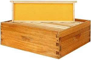 POLLIBEE 10 Frame Medium Super Bee Box, Assemble Bee Hive Box, Dipped in 100% Beeswax, Include Beehive Frames and Bee Hive Foundation