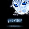 Ghostnip