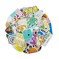 Hydro Aesthetic VSCO Stickers Water Bottles Big 50 Pack Girl Waterproof Durable Vinyl Decal for Laptop Phone Travel Case Pad