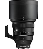 Amazon.com : Sigma 135mm F1.8 Art DG HSM for Sony E