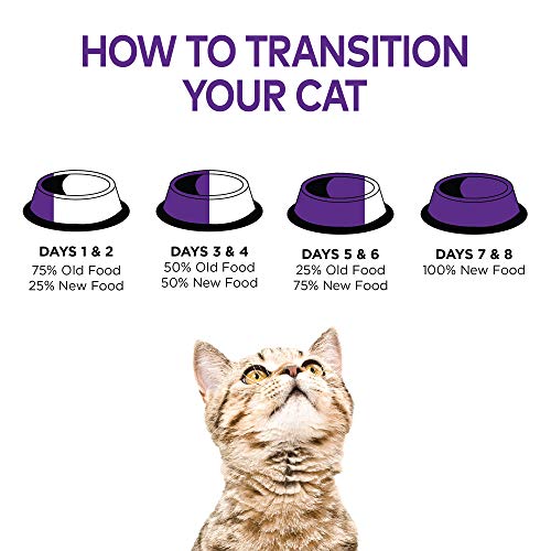 Wellness Grain Free Wet Cat Food Variety Pack - Image 9