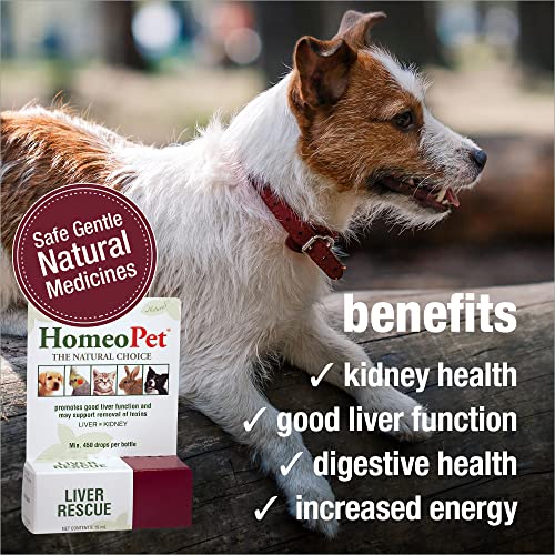 HomeoPet Liver Rescue, Natural Liver Support for Pets, 15 Milliliters