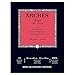 Arches Oil PAD 140LB 12X1612, Multicolor