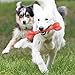 Dog Bone Soft Chew Toy (Pair) Handmade 100% Felted Wool & Natural Dyes, for Small Dogs & Puppies, Machine Washable