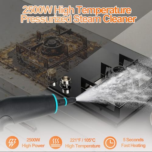 2500W Handheld Steam Cleaner, 6-Speed Portable Steamer with Large Tank & 10 Accessories, 10s Heat-Up steamer cleaning for Kitchen, Bathroom, Car Detailing, Tile & Grout Cleaning