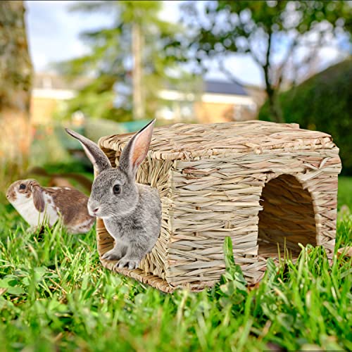 Extra Large Grass House for Rabbits,Natural Hand Woven Seagrass Play