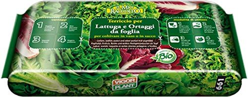 Sustrato para lechuga y hortalizas de hoja: Amazon.es: Jardín