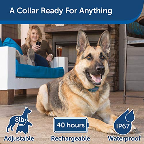 bluetooth dog training collar