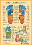 Image de Foot Reflexology -- A2