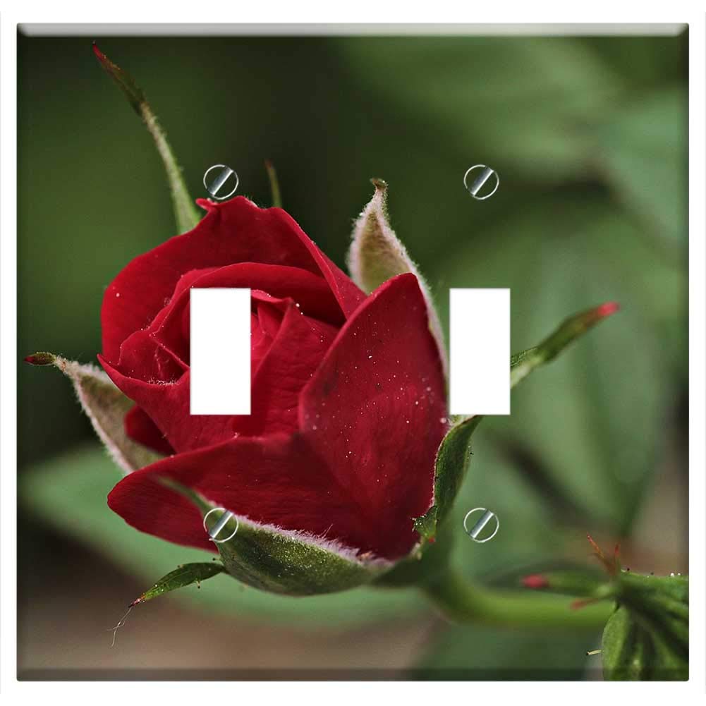 Switch Plate Double Toggle - Rose Flower Rose Blooms Blossom Bloom Red Rose