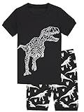Big Boys' Dinosaur Pajamas 100% Cotton 2-Piece Children Sleepwear Clothes Set