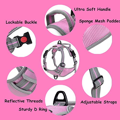 Coohom No Pull Dog Harness with Handle and Two Leash Attachments
