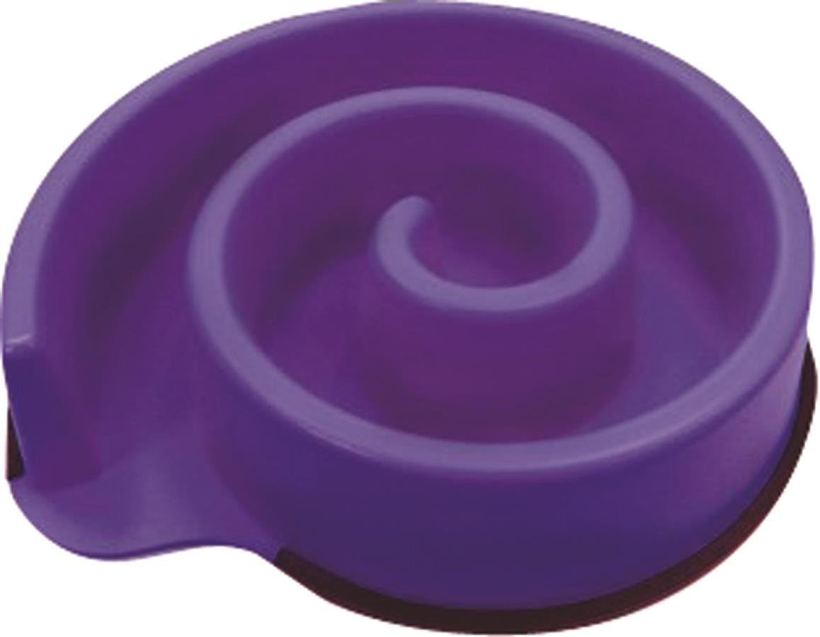 spiral dog bowl