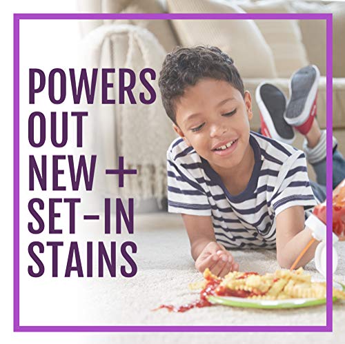 STAINMASTER Carpet Stain Remover Cleaner, 22 Fl Oz - Thumbnail 4