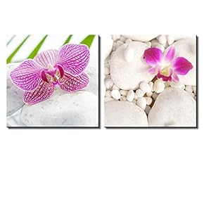 Two Piece Pink Orchid Flowers on White Rocks...