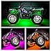 LEDGlow 6pc Advanced Million Color LED ATV UTV Quad 4×4 Accent Underlow Light Kit – 15 Solid Colors – 6 Patterns – Multi-Color Flexible Strips – Includes Waterproof Control Box & 2 Wireless Remotesthumb 3