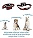 TBI Pro [Newest 2018 Upgraded] Bark Collar w/Upgraded Smart Chip - Best Dog Anti-Barking Collar, Beep/Shock Mode. No Bark Device