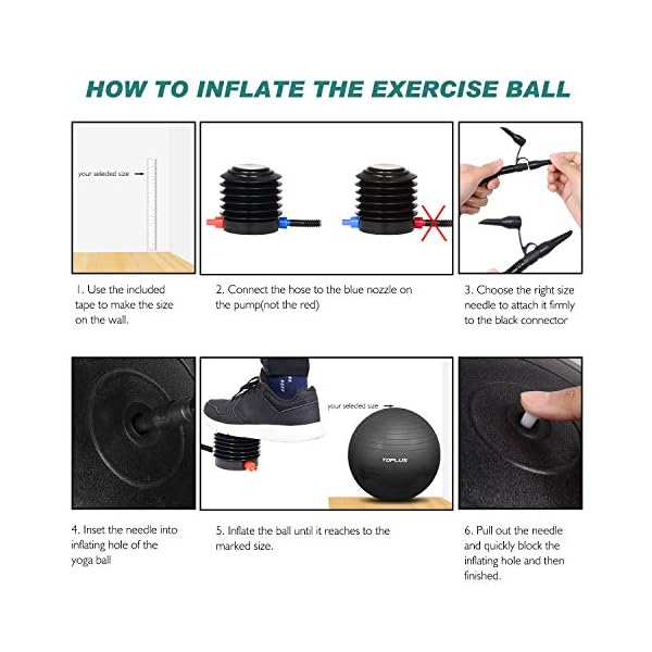 TOPLUS-Exercise-Ball-Gym-Ball-Supports-2200lbs-Yoga-Ball-Anti-Burst-Extra-Thick-Swiss-Ball-with-Quick-Pump-Birthing-Ball-for-Yoga-Pilates-Fitness-Pregnancy-Labour TOPLUS Exercise Ball, Gym Ball Supports 2200lbs Yoga Ball Anti-Burst & Extra Thick, Swiss Ball with Quick Pump Birthing…