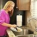 Danco 10451 Garbage Disposal Genie, Pack of 1, Red