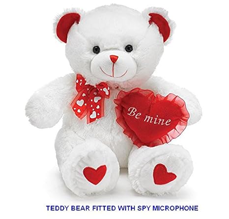 teddy bear with microphone