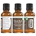 Viva Doria 100% Pure Clove Bud Essential Oil, Undiluted, Food Grade, 30 mL (1 Fluid Ounce)
