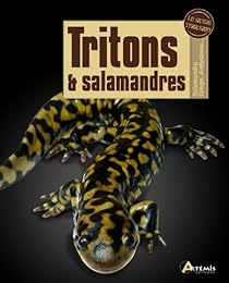 Tritons & salamandres
