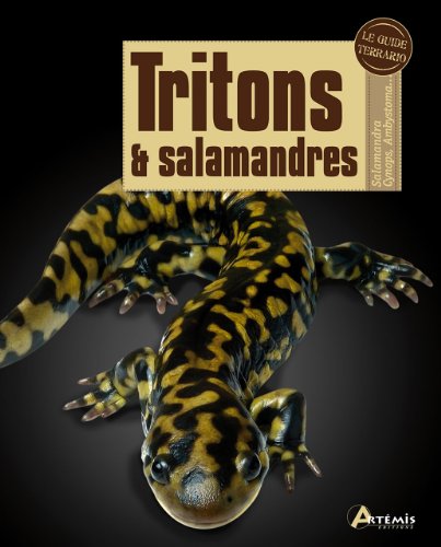 Tritons & salamandres