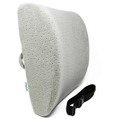 Trusted lumbar support for office chair car home travel…
