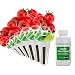 AeroGarden Red Heirloom Cherry Tomato Seed Pod Kit primary