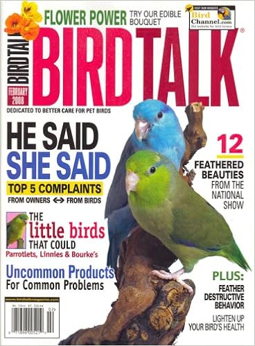 birds that talk back