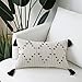 EIGRAMSET Bigcozy Boho Lumbar Pillow Cover Tassel, Farmhouse Small Cream Decorative, Modern Moroccan Accent Tribal Cotton Woven Pillow Case, 12