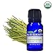 Organic, Lemongrass Oil - Premium 100% Pure, USDA Organic, Natural Therapeutic Grade, baby-oils, hair-treatment-oils, body-oils, facial-oils, scented-oils (10 ml)