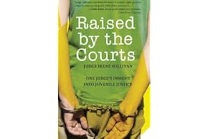 Raised by the Courts: One Judge's Insight into Juvenile Justice