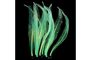 REIRQIE 18/25/43Cm Aquarium Decoration Plants Simulation Artificial Water Grass Fish Tank Decor Silicone Glowing Kelp Ornament Aquarium Accessories,Green,16.9in