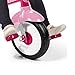 4-in-1 Stroll 'N Trike