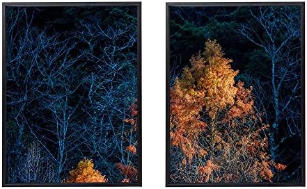 50x70cm X2枚 ライト高級 クリスタル磁器の装飾画 黒アルミ合金フレーム 木秋暗い枝 本物 アートパネル 壁掛け絵画 インテリアアート 部屋飾り 現代 壁掛け 壁ポスター 壁飾り モダン 絵画 玄関 おしゃれ