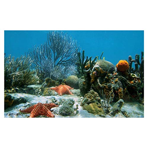 Rendodon 5D DIY Diamond Painting - Embroidery Paintings 5D Grove Scenery Diamond Painting DIY Diamond Painting (E)