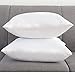 YSTHER Down Feather Throw Pillow Inserts 20x20 Set of 2 Firm Large Lumbar Pillows for Bed Decorative Couch Soft Pillows for Sleeping Indoor White Cotton Pillow Sofa Travel