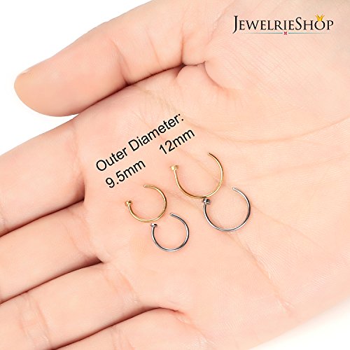 Value Pack Assorted Stainless Steel Body Jewelry Piercing Nose Hoop