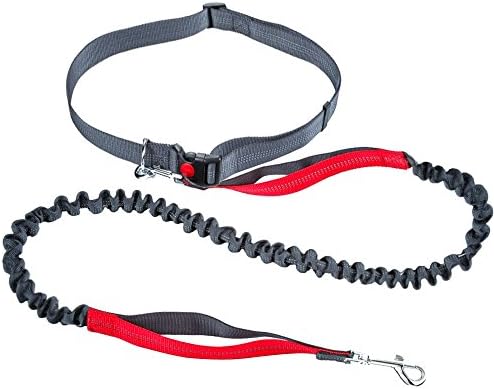 Petender Hands Free Dog Leash Durable Double Dual Handle Retractable Reflective Bungee Leash for Dogs (Fits up to 49" waist)