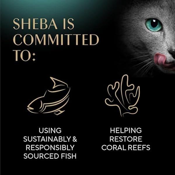 SHEBA GRAVY INDULGENCE ADULT WET CAT FOOD, BEEF ENTRÉE AND CHICKEN ENTRÉE VARIETY PACK, 2.64 OZ.