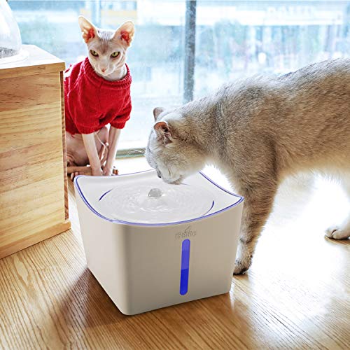 iPettie Kamino Pet Water Fountain, 101oz/3L, UltraQuiet Automatic Cat