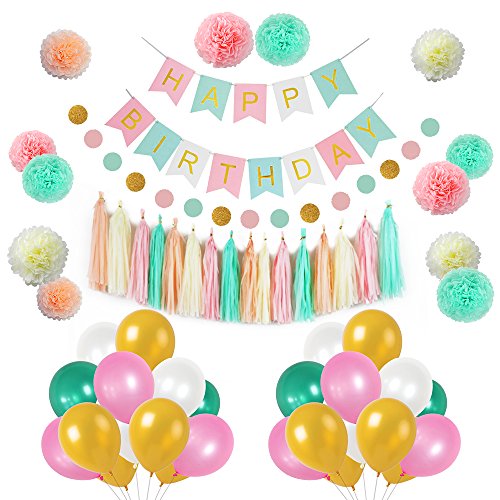 Girls Birthday Decorations, Pom Poms Flowers Kit , Hanging Birthday Banner, Paper Garland, Tassels and Balloons for 1st Birthday Girl Decorations Kids Birthday by Litaus