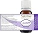 Lavender Essential Oil 10 ml (Fine French) 100% Pure Natural Undiluted Therapeutic Grade for Skin, Body and Hair Growth, Aromatherapy Diffuser, Great for Relaxation and Calming.